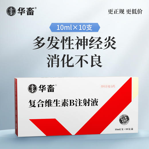 华畜兽药 复合维生素B注射液 猪牛羊赖皮病口腔炎 商品图0