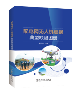 配电网无人机巡视典型缺陷图册