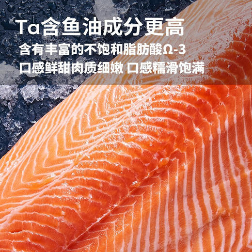 新西兰帝王鲑三文鱼  日料刺身 商品图4