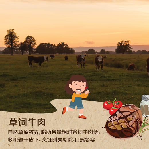 中粮安至选儿童牛排（黑椒味）360g/袋 商品图5