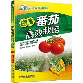 棚室番茄高效栽培