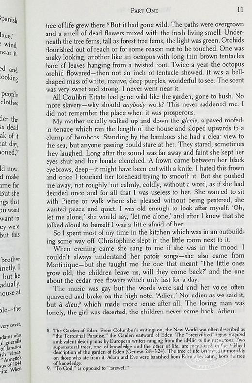 【中商原版】梦回藻海 诺顿文学解读系列 英文原版 Norton Critical Editions Wide Sargasso Sea Jean Rhys 商品图7