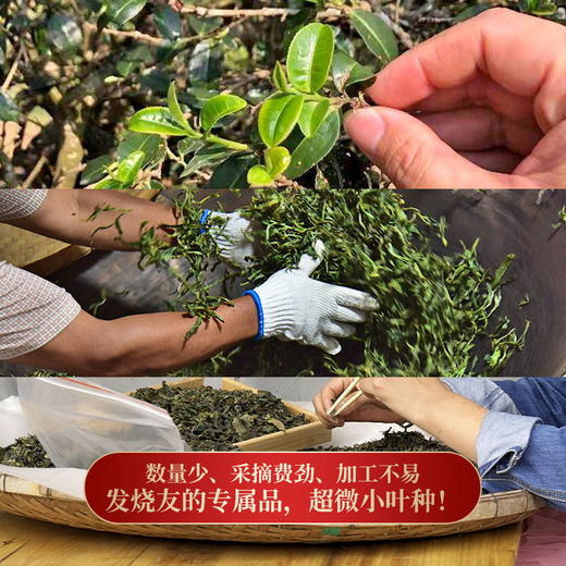 【猫耳朵】断货两年的稀缺王，今年出厂就炸场 ，重铸店铺猫耳朵荣光 商品图1