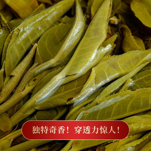 【猫耳朵】断货两年的稀缺王，今年出厂就炸场 ，重铸店铺猫耳朵荣光 商品图4