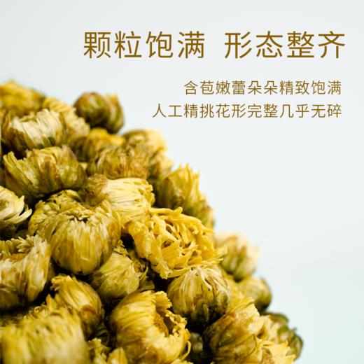 桐乡菊花茶特级胎菊·湖畔居 商品图1