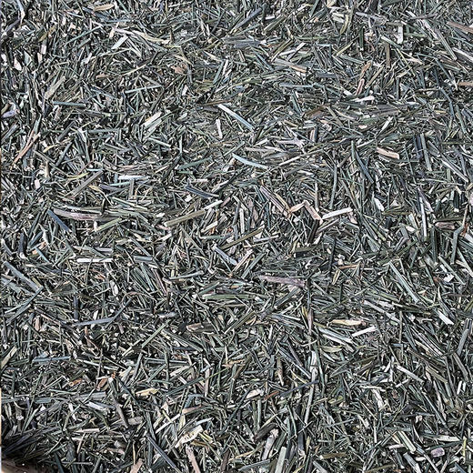 穿心莲 商品图2