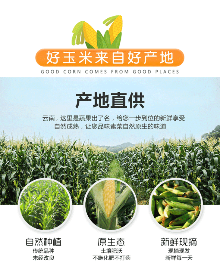 1608883063529340.png 详情(1)_06.png