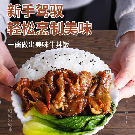 进口大逸昌牛肉盖饭调味汁175g 商品图5