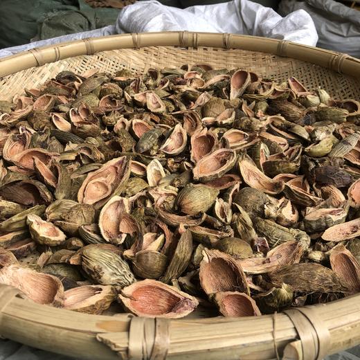 大腹皮 商品图1