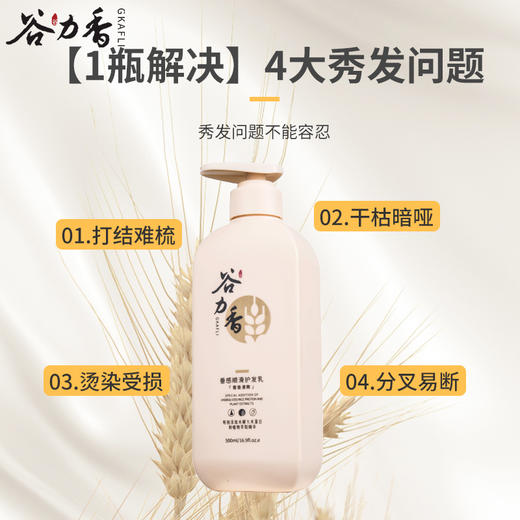 谷力香舒爽洗沐护套装舒爽蓬松洗发乳500ml
清爽丝滑沐浴露500ml
垂感顺滑护发乳500ml 商品图3
