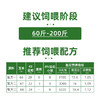 赛为猪饲料8%小猪（60斤-200斤）复合预混料小猪饲料仔猪预混料拉骨架健肠胃40斤/袋 商品缩略图1