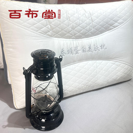 BBT百布堂蚕蛹蛋白美肤养颜枕 商品图2