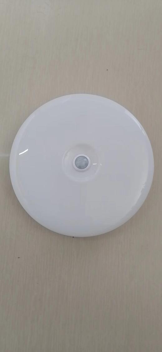 重光 人体感应吸顶灯 18W  直径30公分 商品图0
