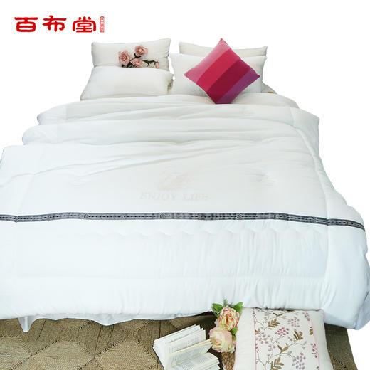 BBT水晶鹅木棉暖馨冬被 商品图0