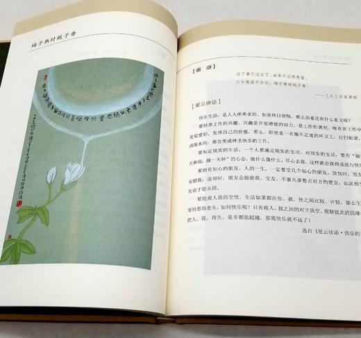 《星云禅话与方云禅画》，精装函套，16开，全四册，星云大师文，方云画，三联书店2017年一版一印，848页，定价272，售价108元。非偏远地区包邮。 商品图13
