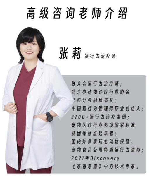 猫研所行为学咨询 专业行为学管理师1对1咨询 商品图1