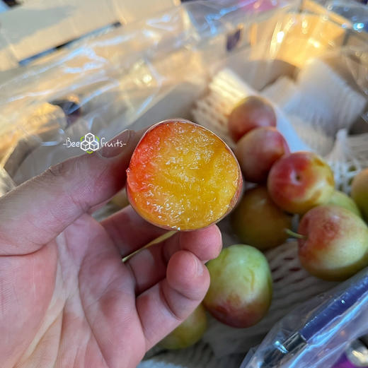 【超级NICE】智利 风暴李，进口脆甜李子，味道非常好，层次感十足，超爱！ 商品图1