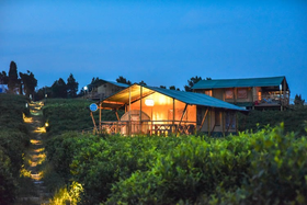 【酒店】常州茅山森林世界露营基地