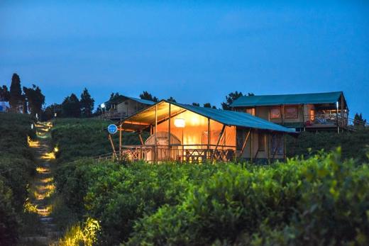 【酒店】常州茅山森林世界露营基地 商品图0