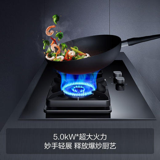 [新品]方太P1+TH28B抽吸油烟24立方燃气灶套餐装家用烟灶具套装 商品图7