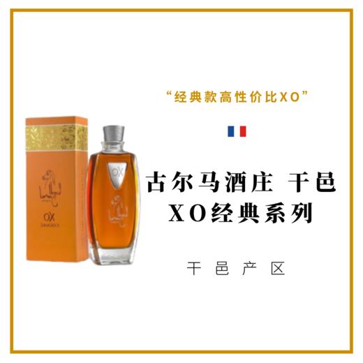 古尔马 干邑XO 经典系列 Léopold Gourmel cognac 法国原瓶进口 白兰地 烈酒 商品图0