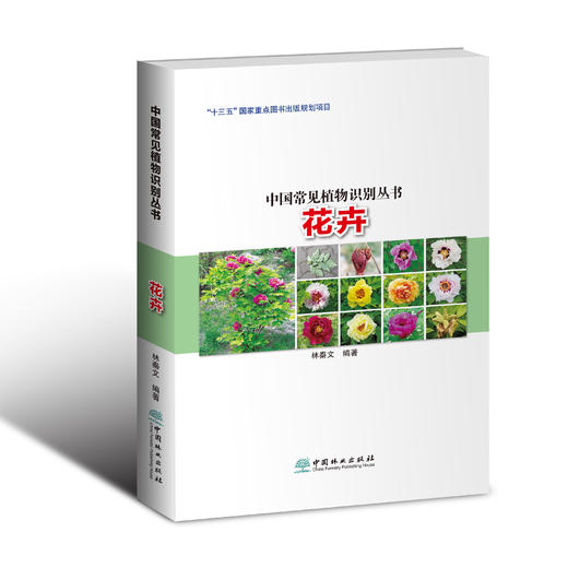 中国常见植物识别丛书 商品图1