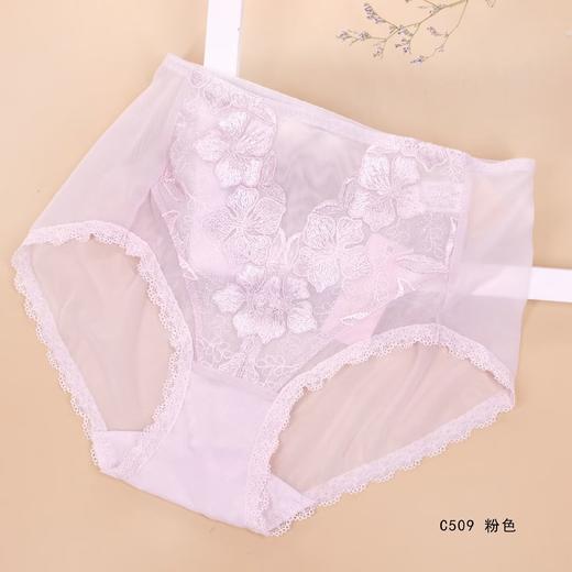 5F Ahpeena爱比娜  网纱舒适内裤 商品图1
