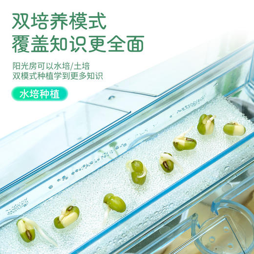 【一起种植吧，激发孩子探索自然科学的奥秘】 学优马阳光房儿童种植套装玩具种子观察窗小学生幼儿园DIY种菜盆 商品图3