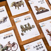《少年中国史》（全14册） | 全景图文展现五千年文明，紧密契合教材 商品缩略图1