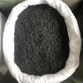 淡豆豉