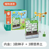 【一起种植吧，激发孩子探索自然科学的奥秘】 学优马阳光房儿童种植套装玩具种子观察窗小学生幼儿园DIY种菜盆 商品缩略图8