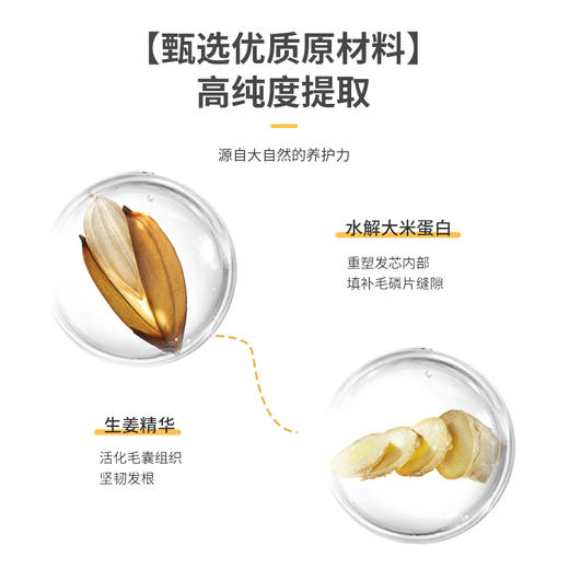 谷力香垂感顺滑护发乳500ml 商品图2