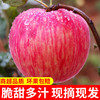美域高15枚85洛川红富士苹果产地直发 商品缩略图0