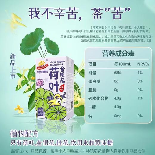 阳光先生 | 荷叶金银花植物饮料250ml 商品图2
