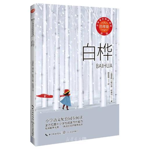 新版统编小学语文教科书同步阅读书系 白桦 塑封 商品图0