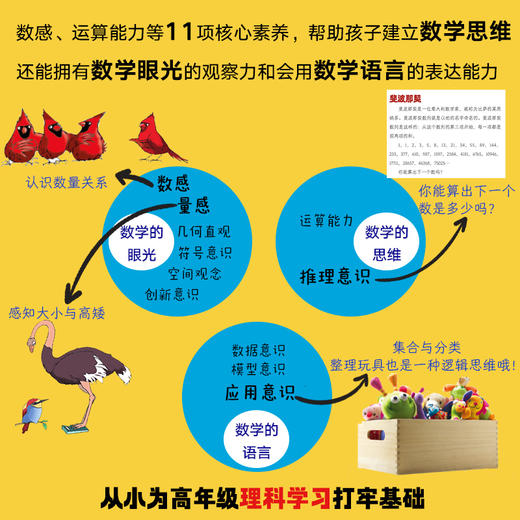 【科普百科】一起探索数学世界吧 12册 商品图5