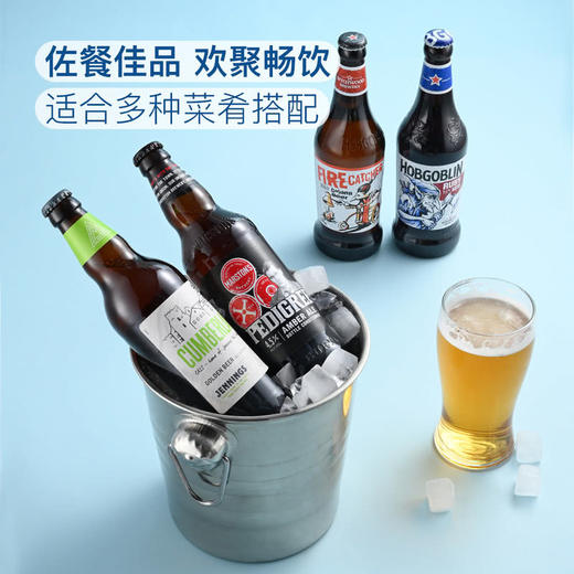 MM 山姆 英国进口 经典艾尔啤酒组合装 500ml*6 商品图4