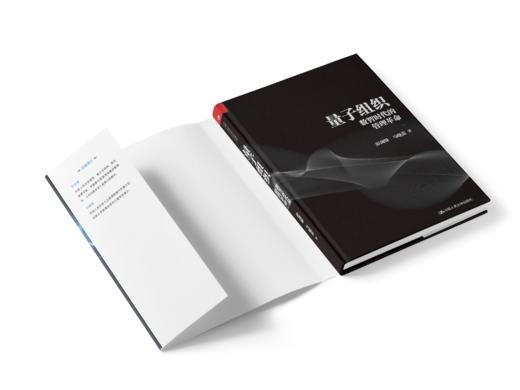 量子组织——数智时代的管理革命 / 彭剑峰 /人大出版社 商品图4