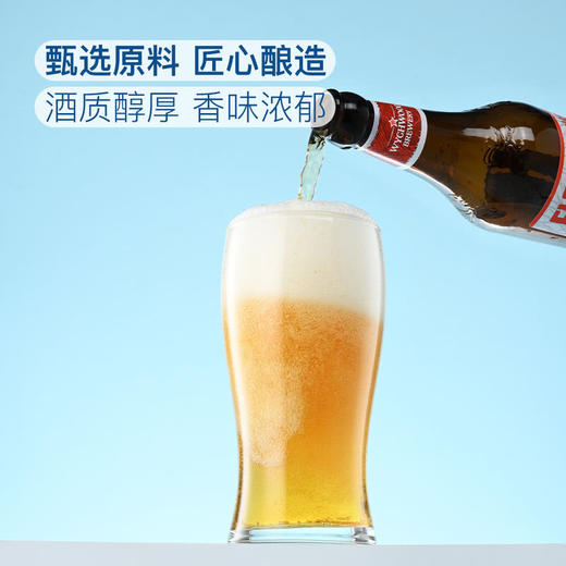 MM 山姆 英国进口 经典艾尔啤酒组合装 500ml*6 商品图2