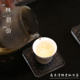 嘉茗录林羽仙—新工艺森林老树白茶2020