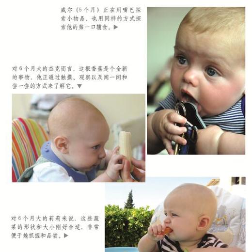 《辅食添加，让宝宝做主》（新版） 商品图7