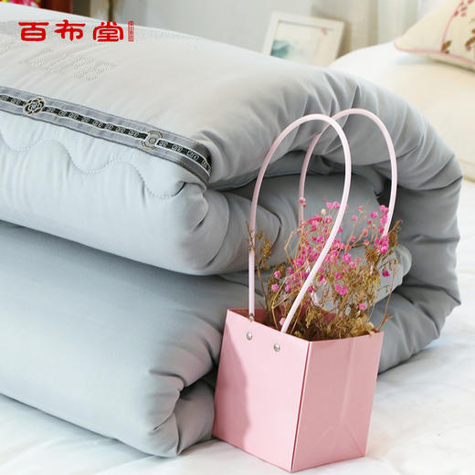 BBT水晶鹅木棉暖馨冬被 商品图4