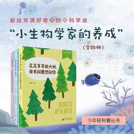 少年轻科普系列大全套16本全： 共生的世界/奇妙的世界/传统文化篇/儿童轻科普读物 商品图5