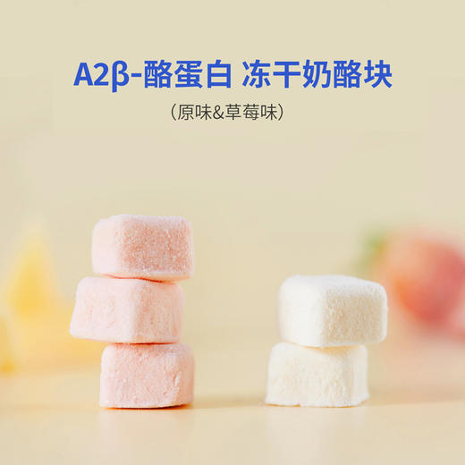 【鱼sir专享】奶酪博士A2β-酪蛋白 冻干奶酪块  商品图3