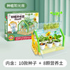 【一起种植吧，激发孩子探索自然科学的奥秘】 学优马阳光房儿童种植套装玩具种子观察窗小学生幼儿园DIY种菜盆 商品缩略图5