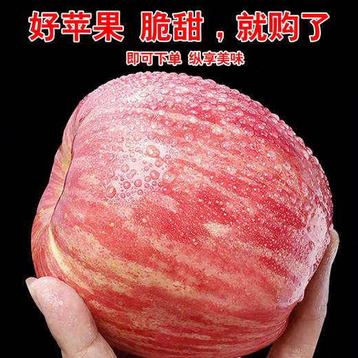 美域高15枚85洛川红富士苹果产地直发 商品图1