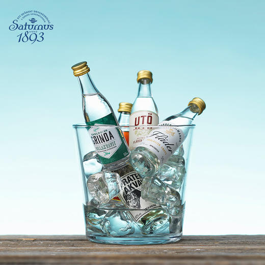 Saturnus风味伏特加10支装 商品图3