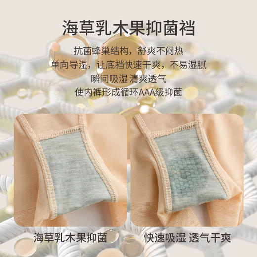 彩仙高腰收腹塑身裤，提臀透气，束腰收腹 商品图4