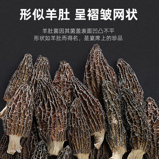 【杞里香50g盒装羊肚菌】菌香浓郁 老少皆宜  素中之荤 鲜掉眉梢 商品图4