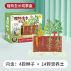 【一起种植吧，激发孩子探索自然科学的奥秘】 学优马阳光房儿童种植套装玩具种子观察窗小学生幼儿园DIY种菜盆 商品缩略图7